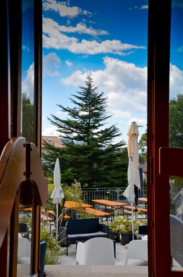 Hotel Villa Argentina Ронцоне Экстерьер фото